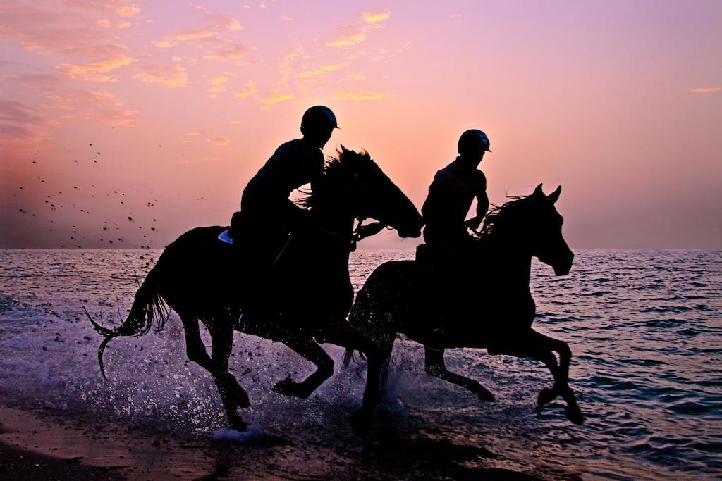 Anantara Sir Bani Yas Island Al Sahel Villas Zahr Esterno foto