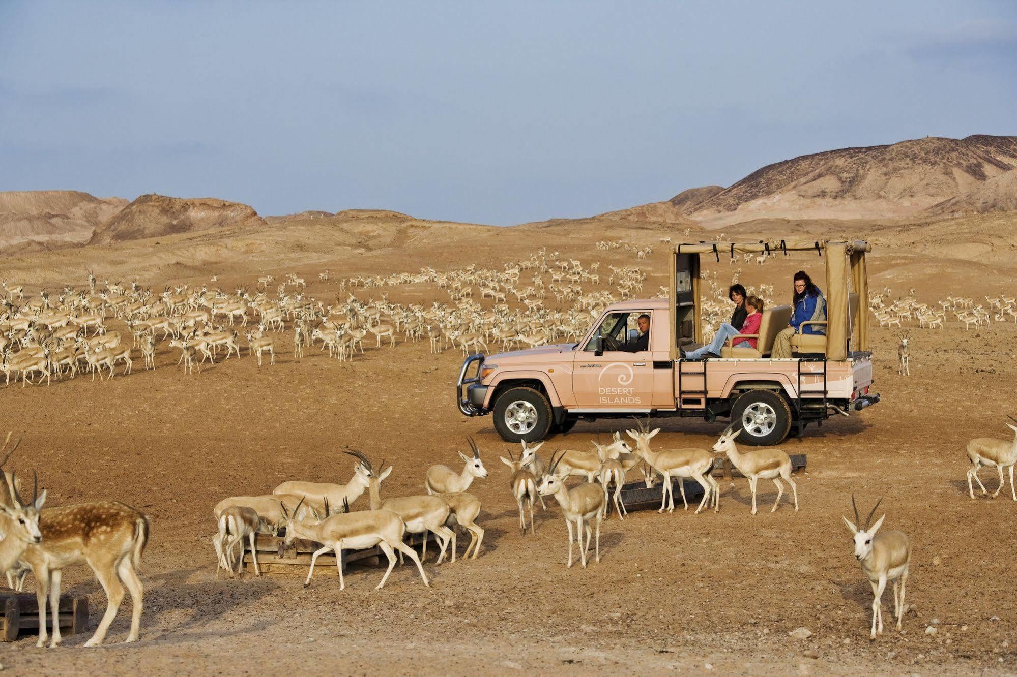 Anantara Sir Bani Yas Island Al Sahel Villas Zahr Esterno foto