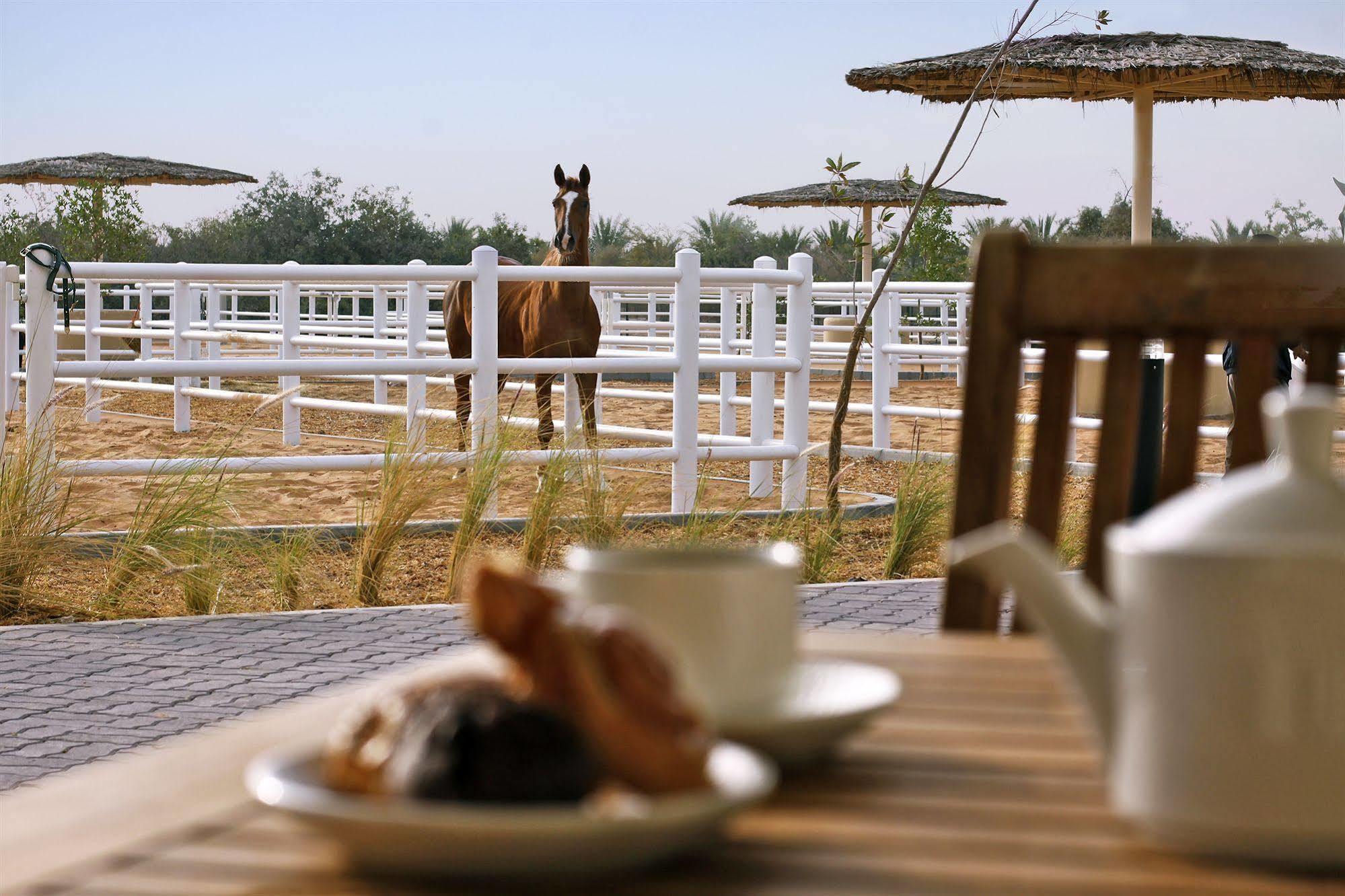 Anantara Sir Bani Yas Island Al Sahel Villas Zahr Esterno foto